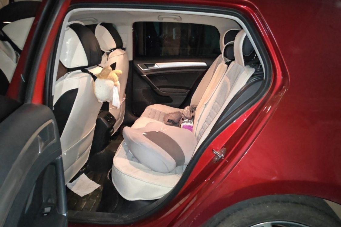 Volkswagen Golf 2020 car image #19