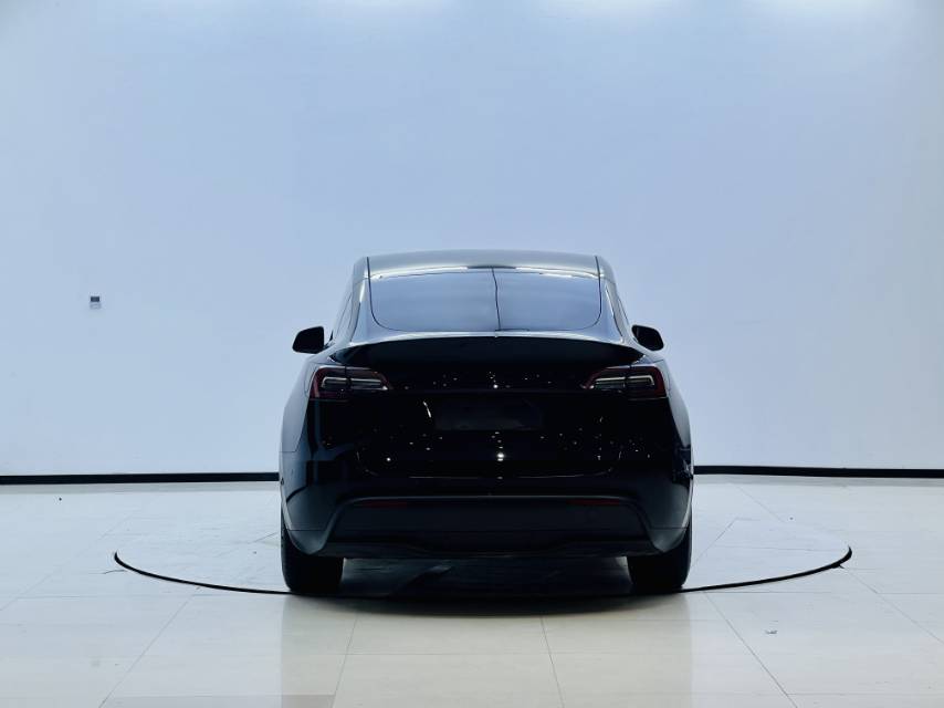 Tesla Model Y 2021 car image #2