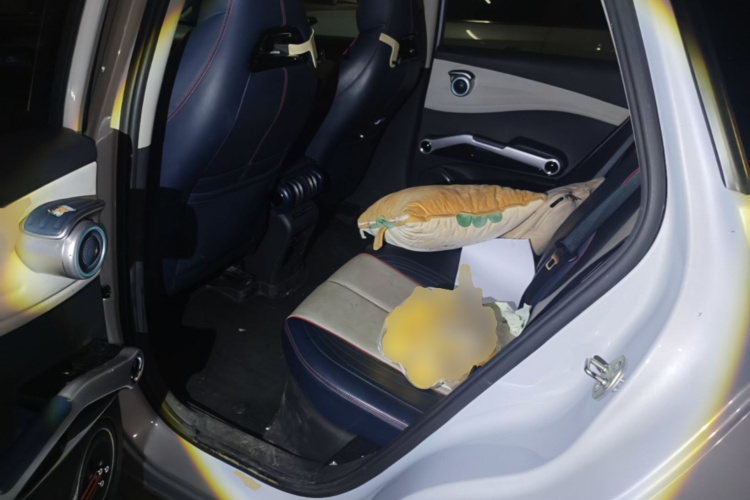 BYD Yuan Plus 2022 car image #10
