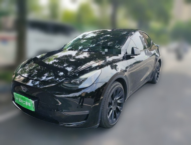 Tesla Model Y 2021 car image 