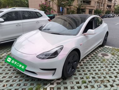 Tesla Model 3 2021 car image 