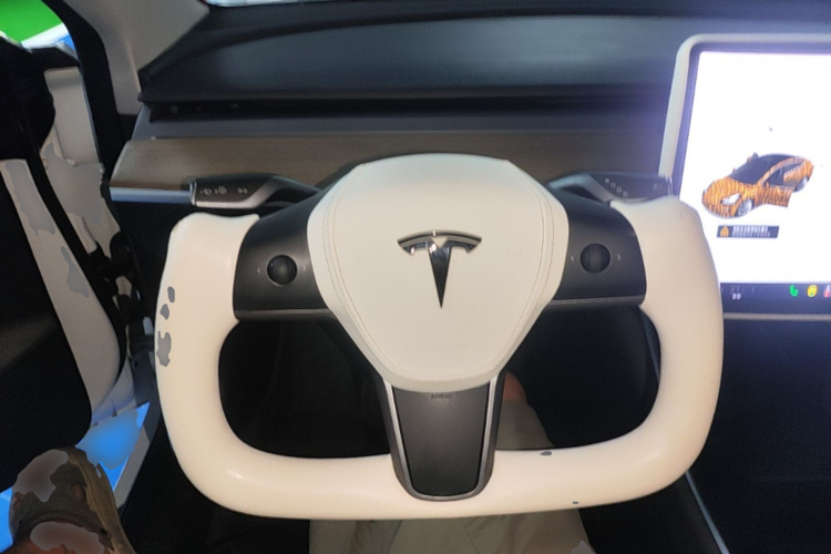 Tesla Model 3 2020 #11 Tesla Model 3 2020 car image #11