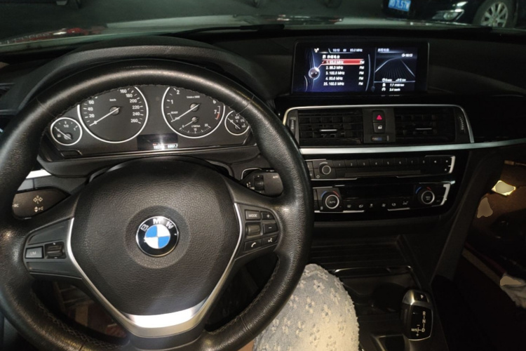 BMW 3 Series 2017 imagen de coche #10