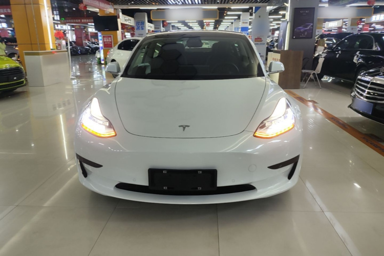 Tesla Model 3 2020 #3 Tesla Model 3 2020 car image #3