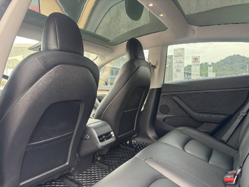 Tesla Model 3 2022 #3 Tesla Model 3 2022 car image #3