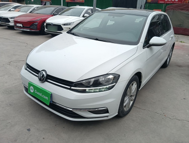 Volkswagen Golf 2019 Volkswagen Golf 2019 car image