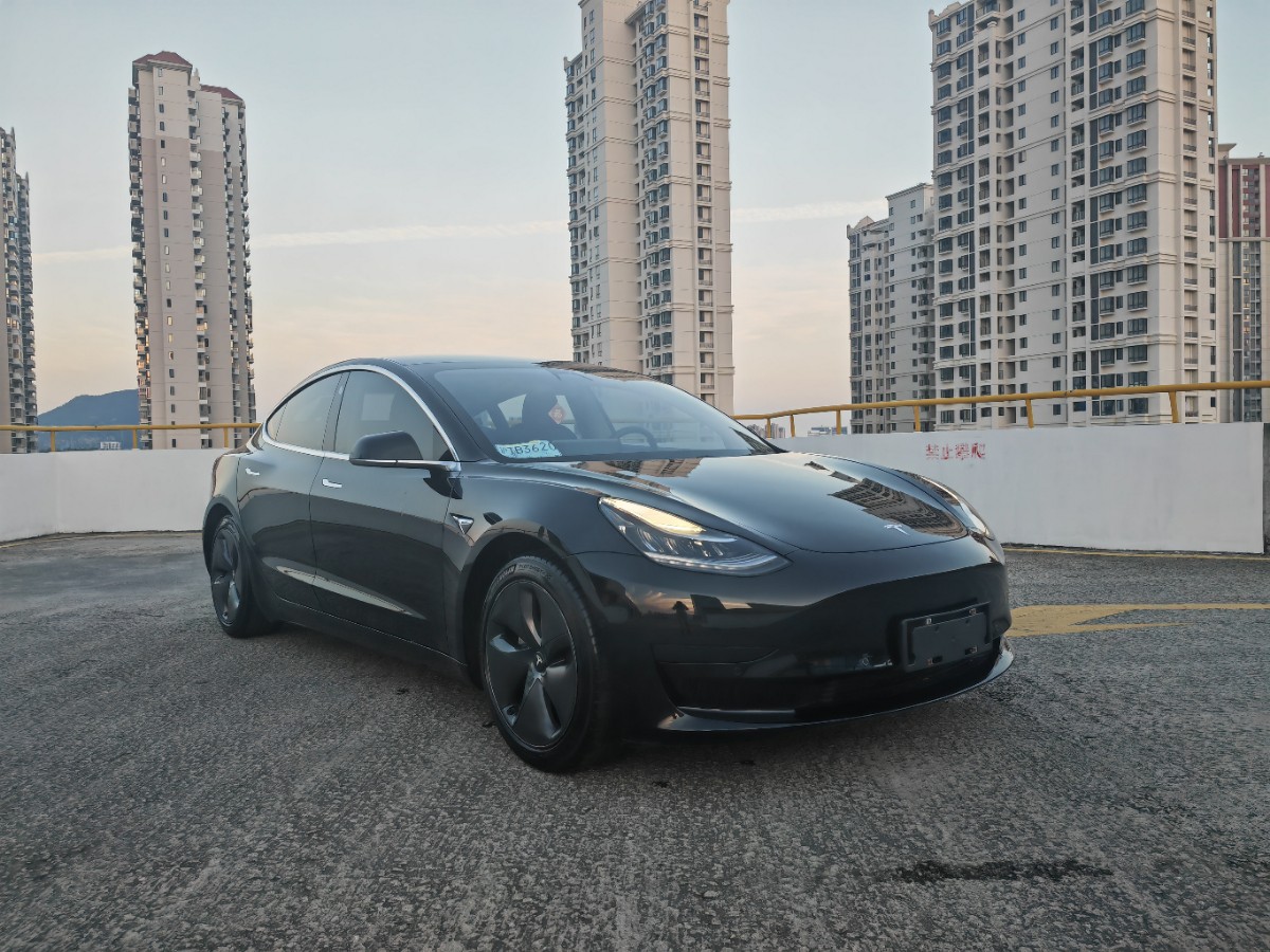Tesla Model 3 2020 #3 Tesla Model 3 2020 car image #3