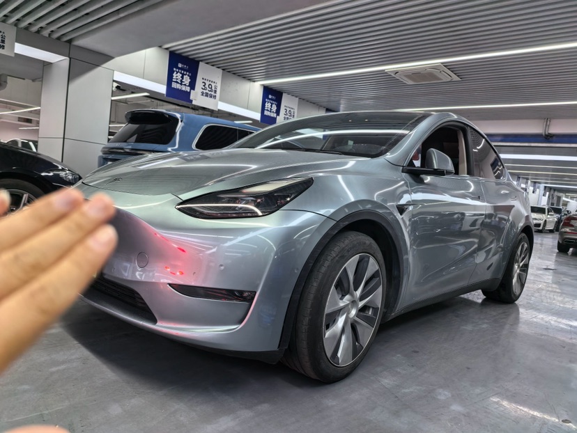 Tesla Model Y 2021 car image 