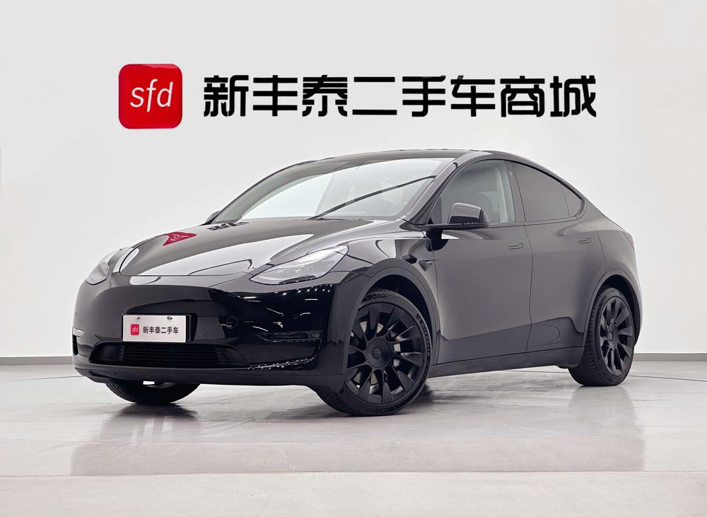 Tesla Model Y 2021 Tesla Model Y 2021 car image
