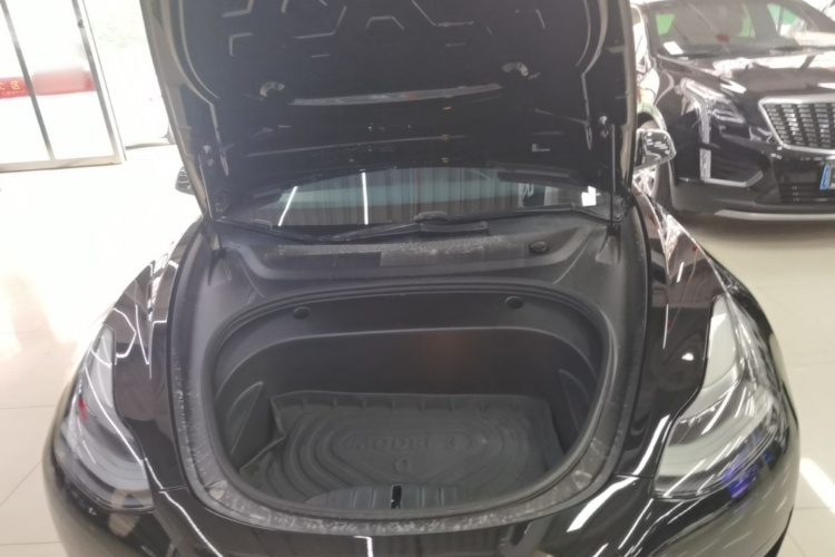 Tesla Model 3 2021 #18 Tesla Model 3 2021 car image #18