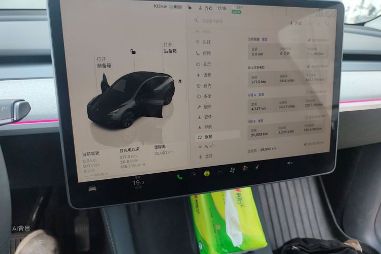 Tesla Model Y 2024 car image #15