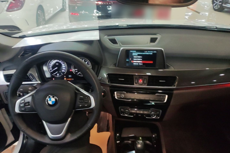 BMW X1 2019 car image #10