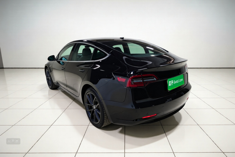 Tesla Model 3 2021 car image #5