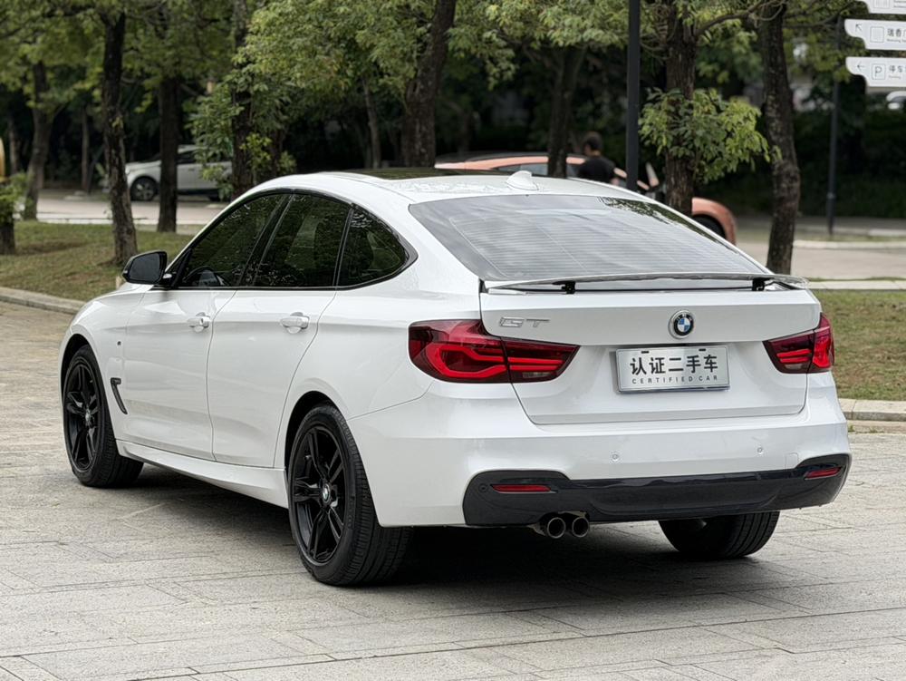BMW 3 Series GT 2019 car image #10