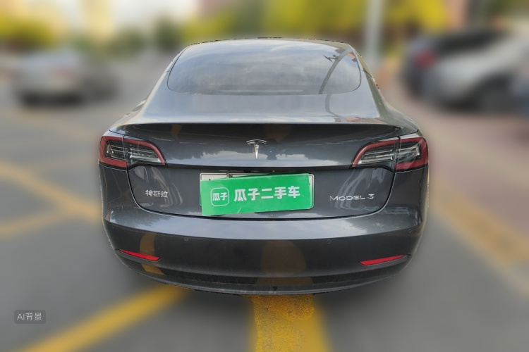 Tesla Model 3 2020 car image #6