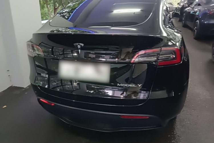 Tesla Model Y 2023 #6 Tesla Model Y 2023 car image #6