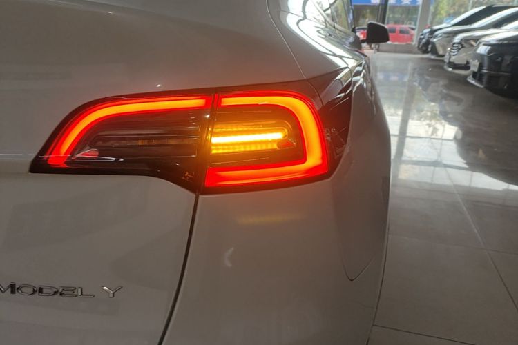 Tesla Model Y 2021 #8 Tesla Model Y 2021 car image #8