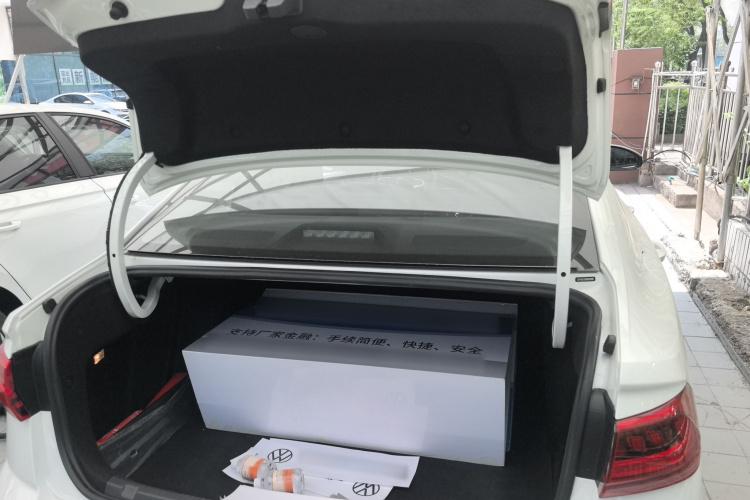 Volkswagen Bora 2024 car image #19