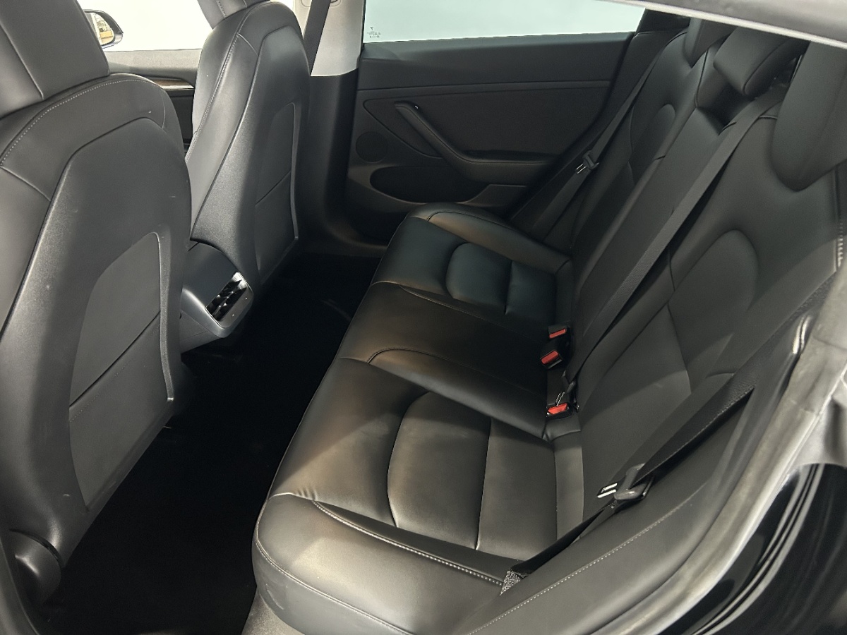 Tesla Model 3 2021 #9 Tesla Model 3 2021 car image #9