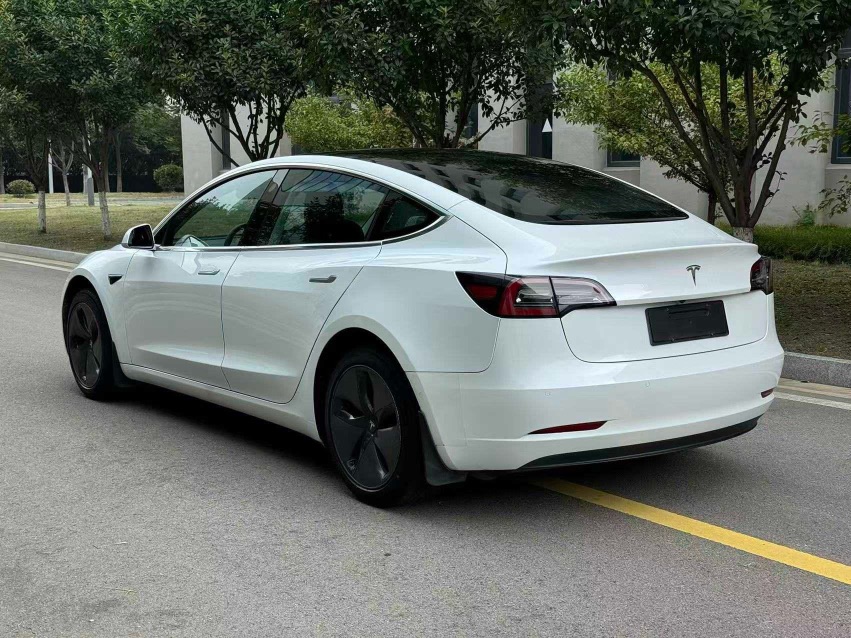 Tesla Model 3 (Imported) 2020 #6 Tesla Model 3 (Imported) 2020 immagine di auto #6