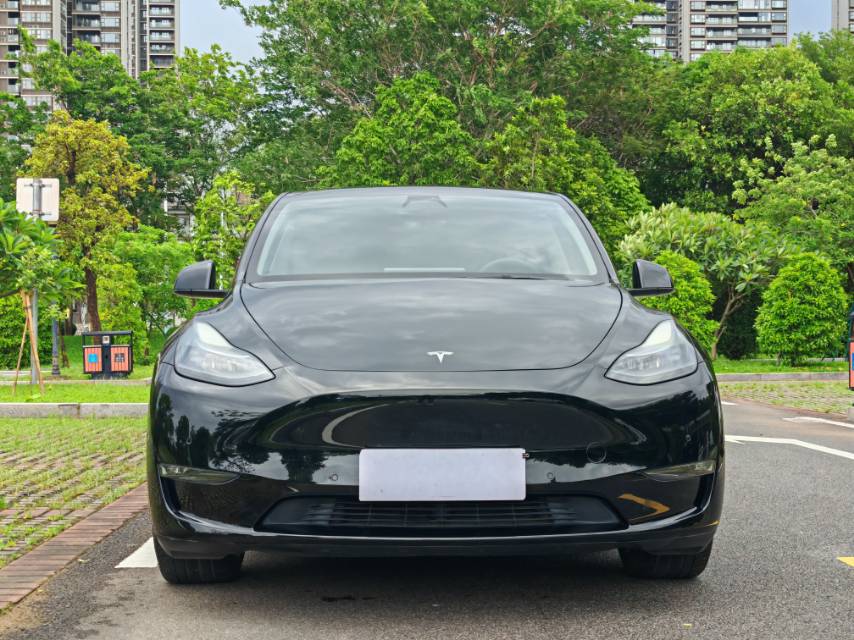 Tesla Model Y 2021 #2 Tesla Model Y 2021 car image #2