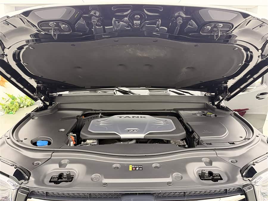 Tank 700 New Energy 2024 imagen de coche #36