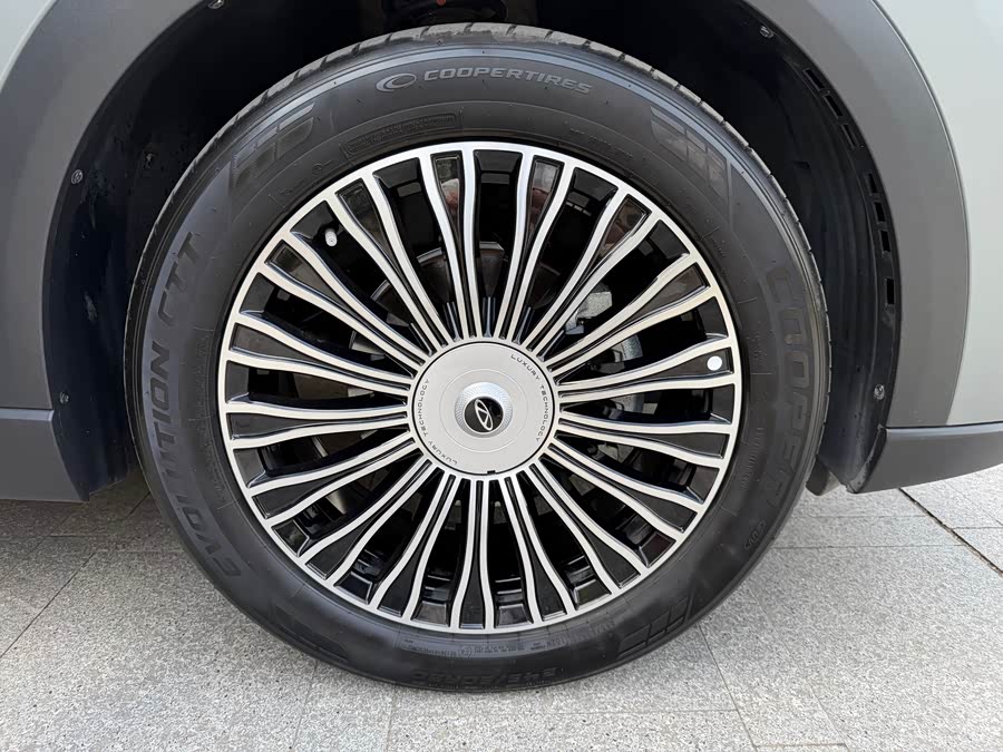 Chery Tiggo8L 2024 immagine di auto #36