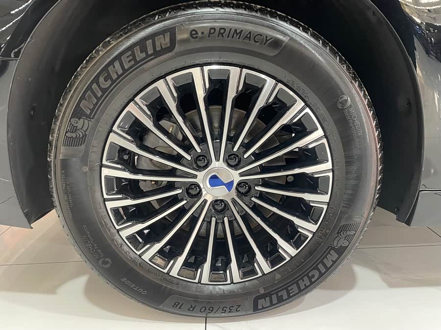 Denza D9 2025 imagen de coche #36