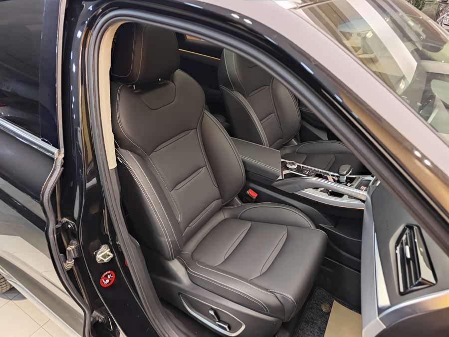 GEELY Tugella New Energy 2020 #36 GEELY Tugella New Energy 2020 car image #36