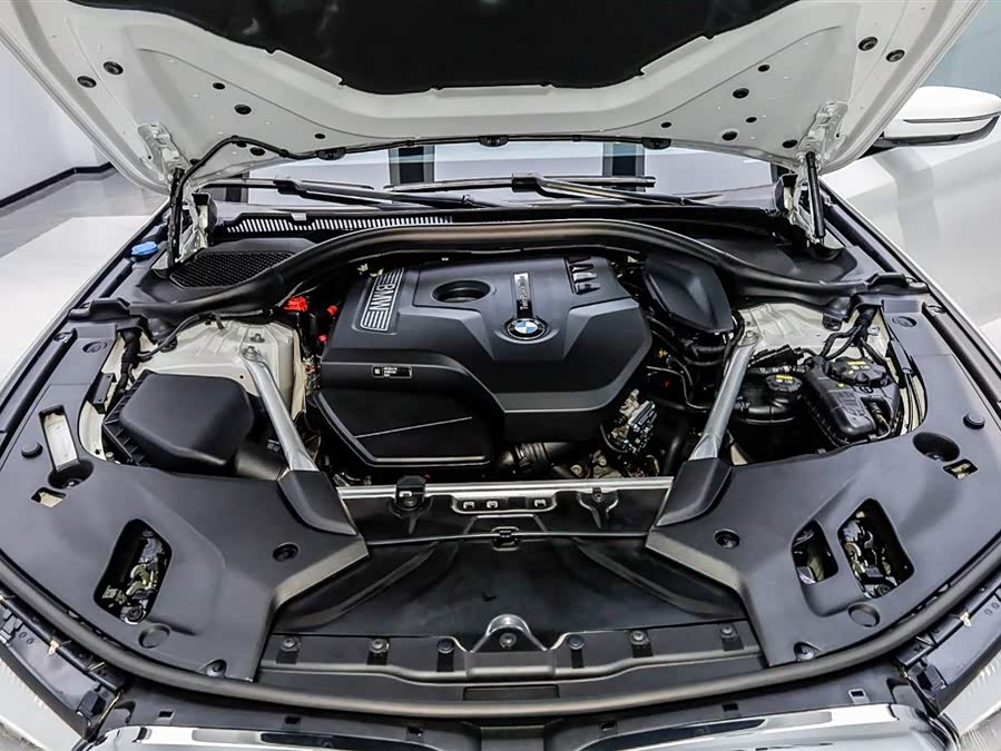 BMW 5 Series 2019 car image #36
