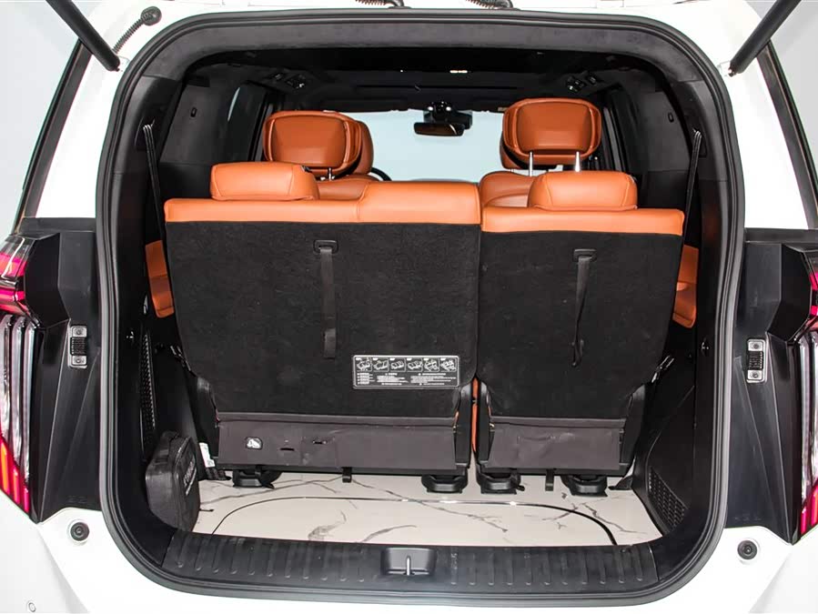 GAC Trumpchi E9 2024 car image #36