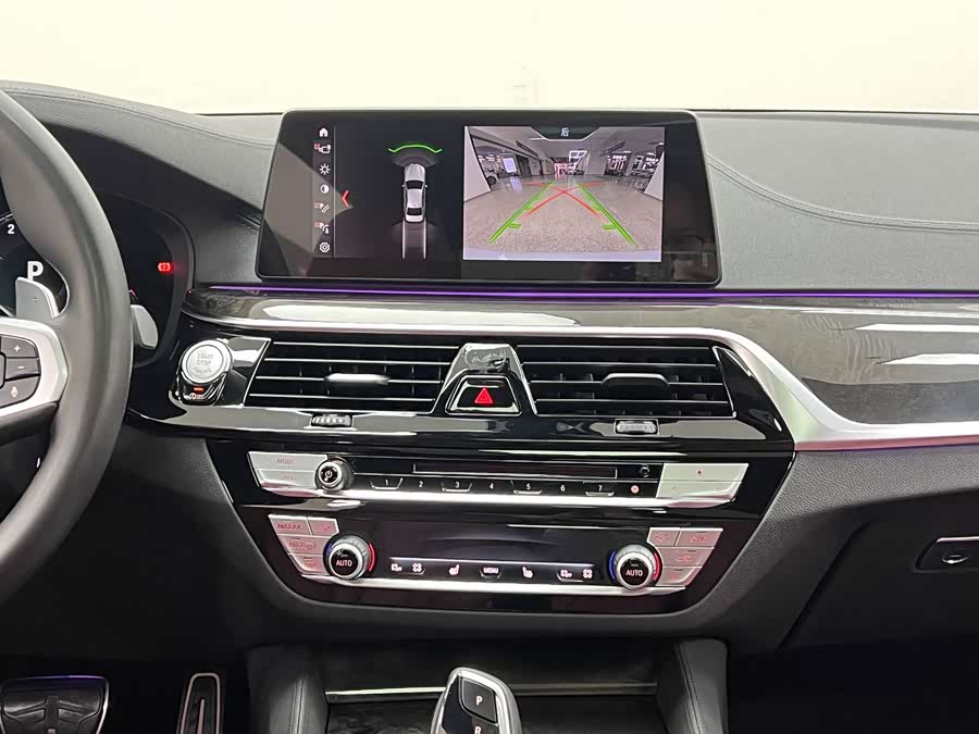 BMW 5 Series 2019 car image #36