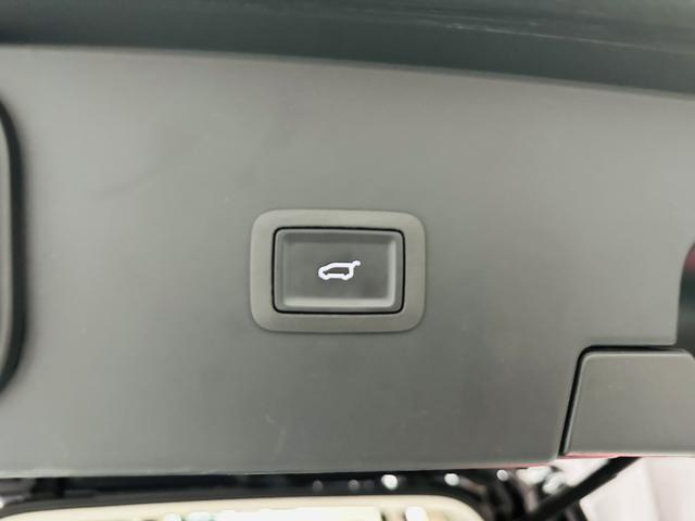 HongQi HQ9 PHEV 2024 immagine di auto #36