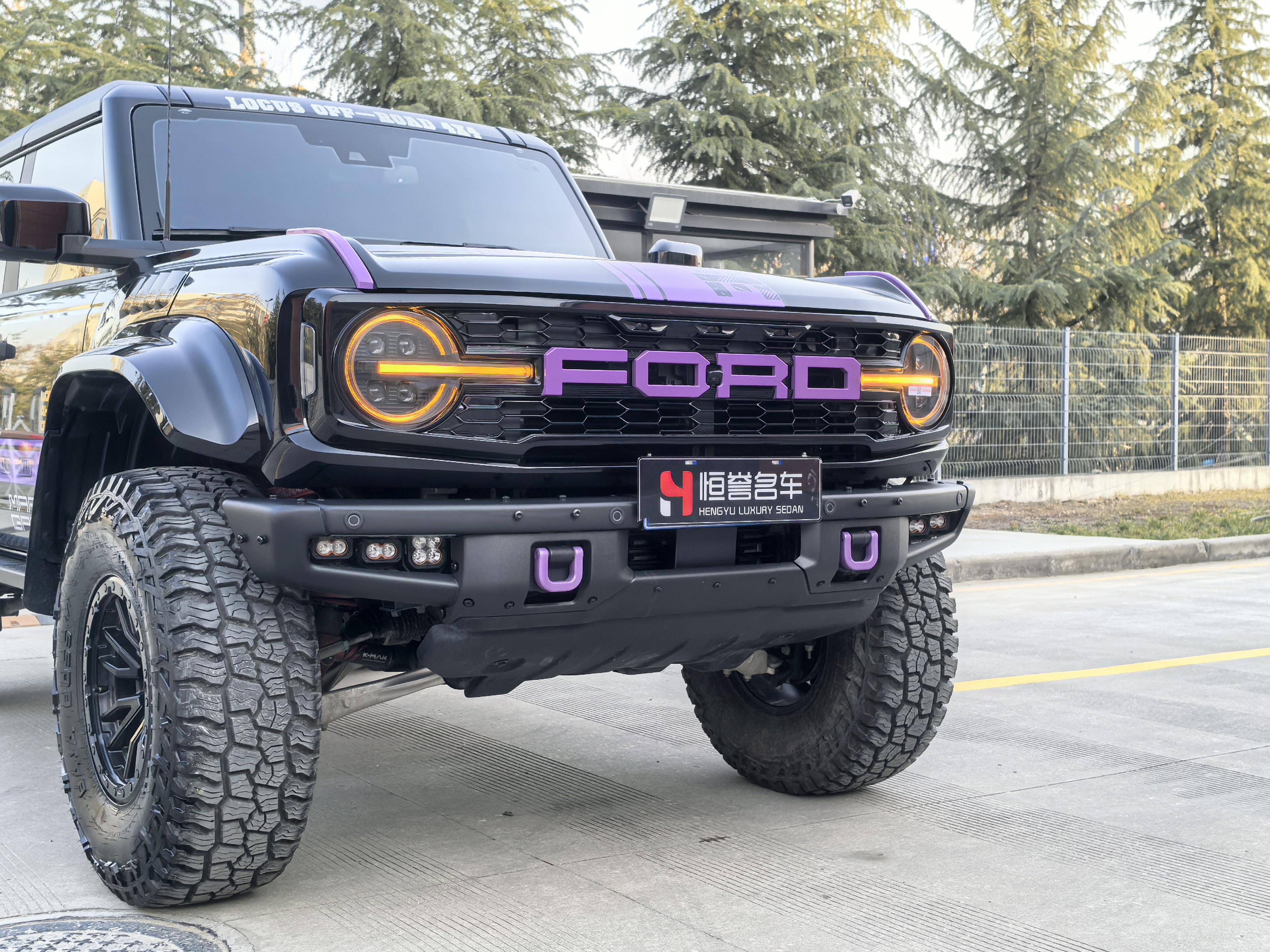 福特 福特烈马 2025 #36 福特 福特烈马 2025 汽车图片 #36