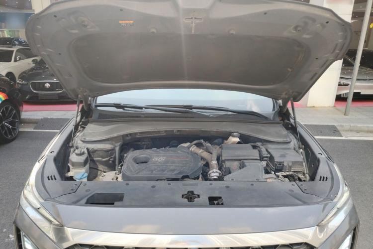 Neta S Shooting Brake 2019 image de voiture #36