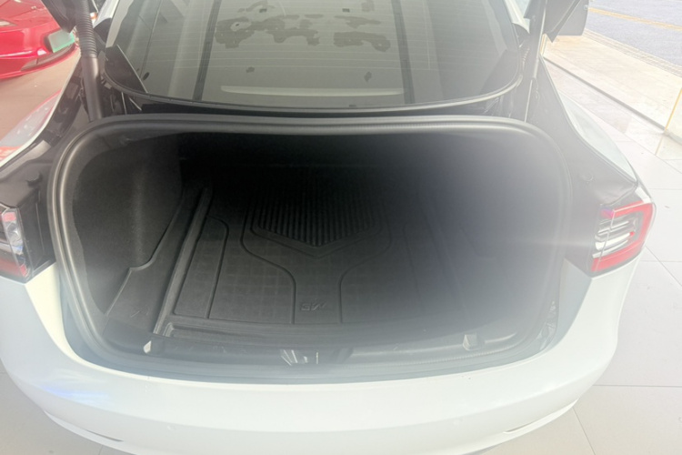 Tesla Model 3 2022 #36 Tesla Model 3 2022 صورة سيارة #36