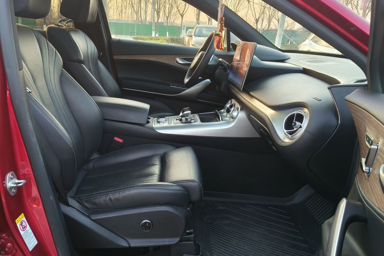 Denza X 2020 #36 Denza X 2020 car image #36