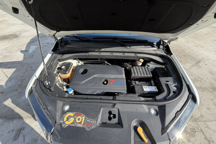 SWM 2020 car image #36