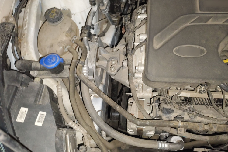 Ford Focus Active 2020 #36 Ford Focus Active 2020 car image #36