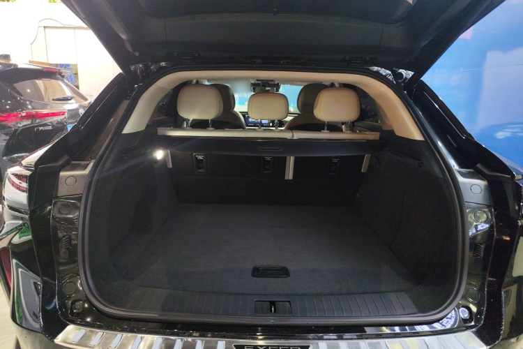 Exceed Yaoguang C-DM 2024 car image #36