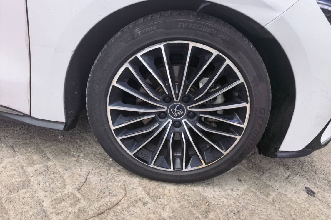 BYD Han 2021 #9 BYD Han 2021 immagine di auto #9