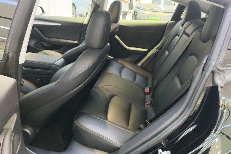Tesla Model 3 2023 car image #17