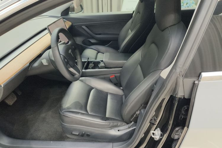Tesla Model 3 2020 car image #12