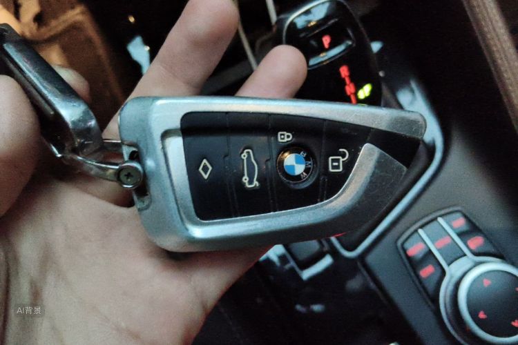 BMW X1 2020 car image #10
