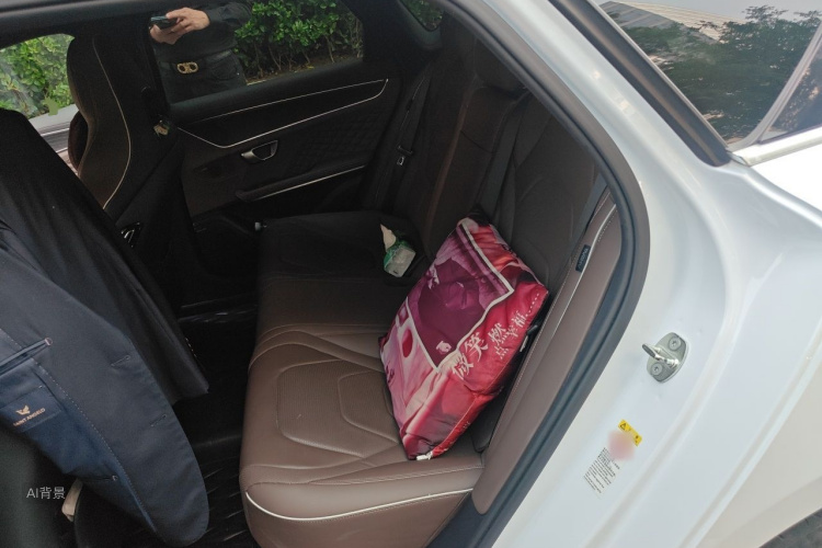 BYD Han 2022 car image #19