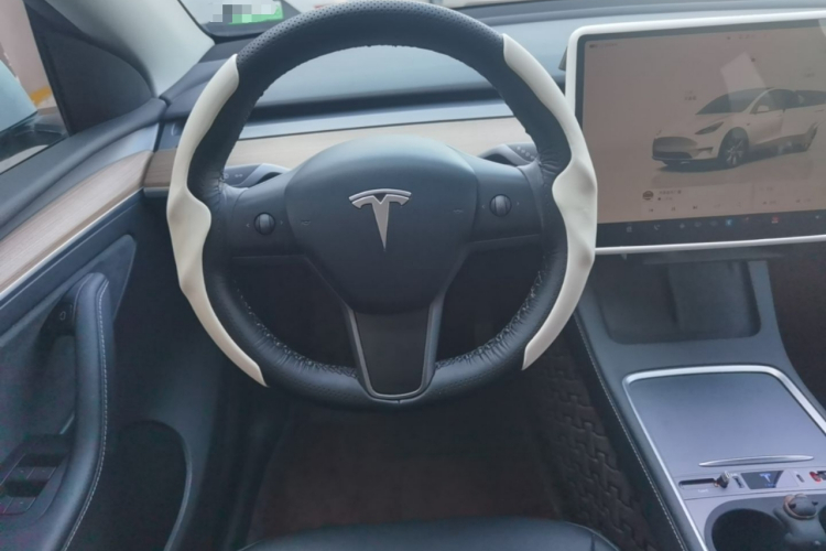 Tesla Model Y 2023 #15 Tesla Model Y 2023 car image #15