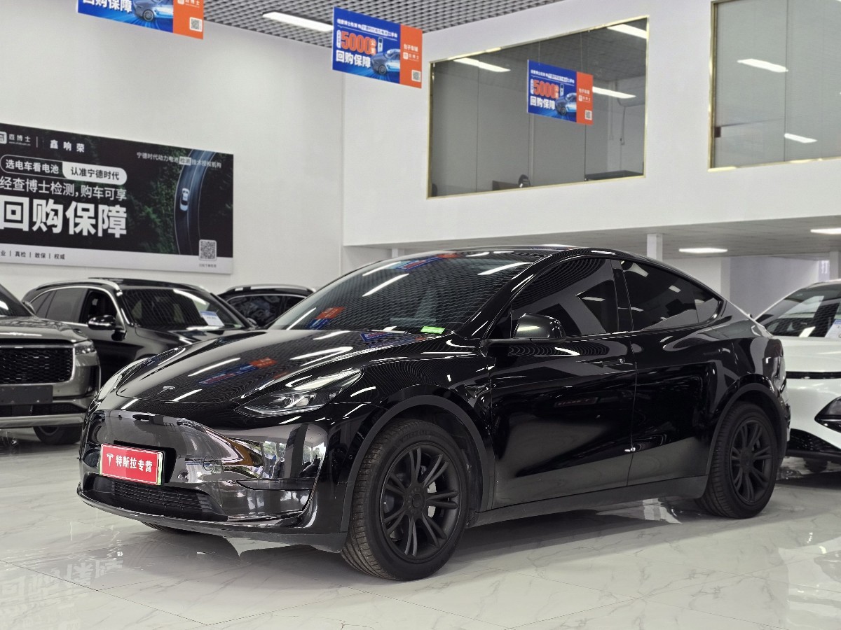 Tesla Model Y 2024 Tesla Model Y 2024 car image