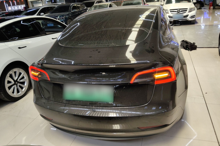 Tesla Model 3 2022 #6 Tesla Model 3 2022 car image #6