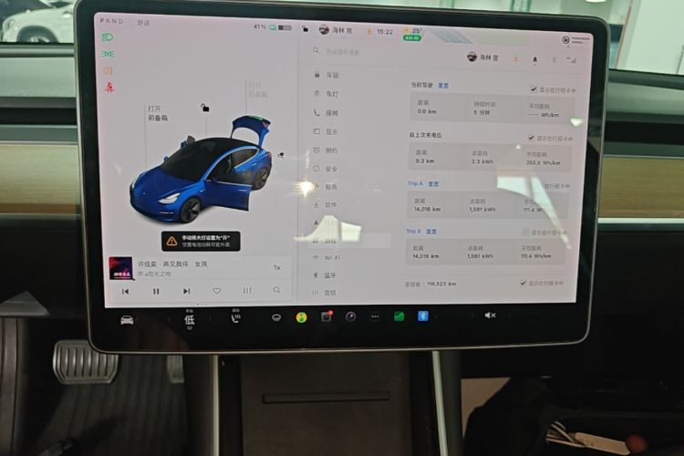 Tesla Model 3 2020 car image #12