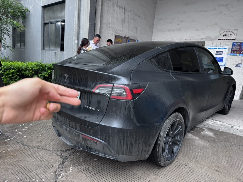 Tesla Model Y 2023 #6 Tesla Model Y 2023 car image #6